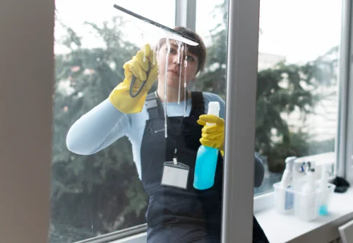 Nettoyage de vitres intérieures et extérieures à Trévron